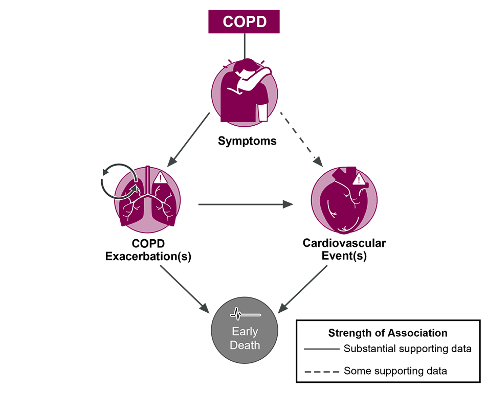 Image showing the relationship between symptoms, COPD exacerbations, cardiovascular event(s) and early death