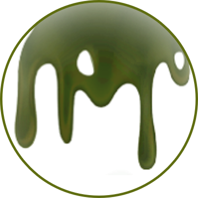 Image of an airway with mucus