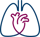Icon of the lungs and heart