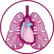 Image of the lungs depicting hyperinflammation