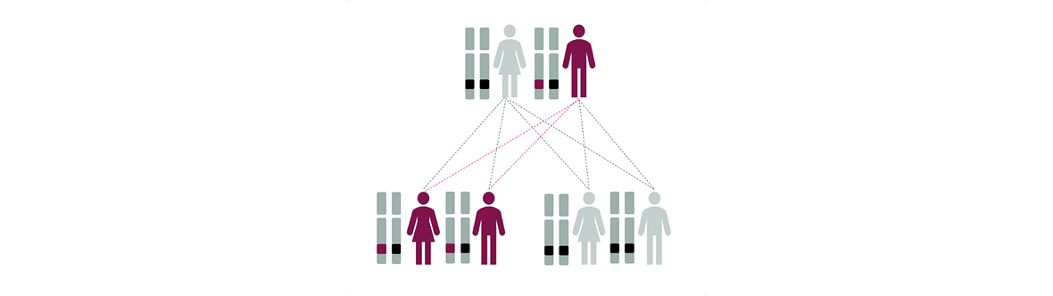 Graphic illustrating hereditary ATTR inheritance and key features including autosomal dominant transmission and variable penetrance.