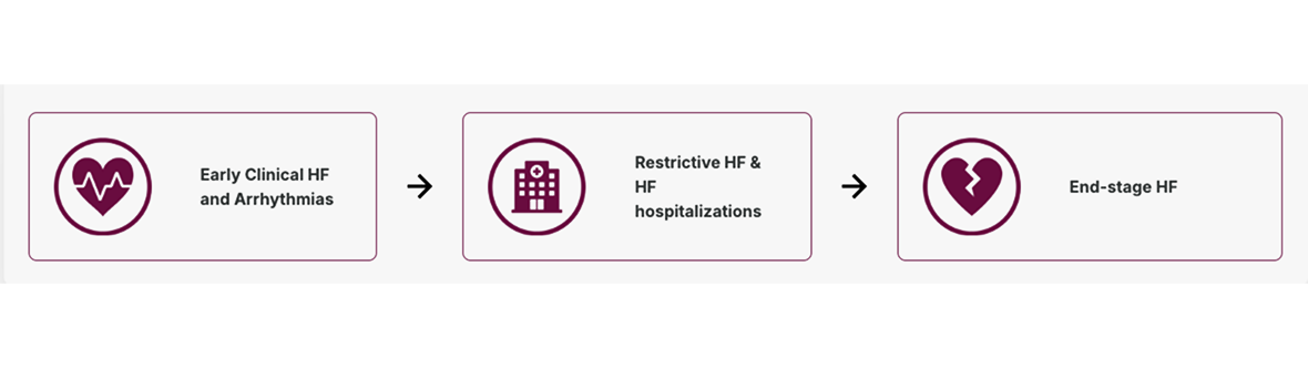 Patients with hATTR-CM experience negative outcomes and poor survival as the disease progresses